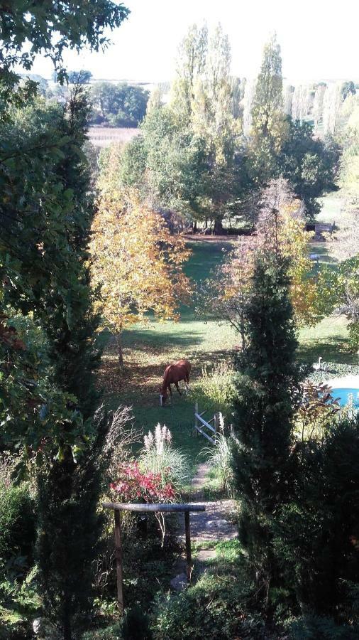 Le Peyrail Bed & Breakfast Les Leves-et-Thoumeyragues Luaran gambar
